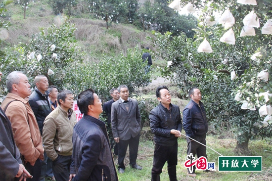 榮縣社區(qū)學(xué)校留佳鎮(zhèn)培訓(xùn)中心，專業(yè)人員正在講授柑橘的秋冬季保養(yǎng)知識2.jpg
