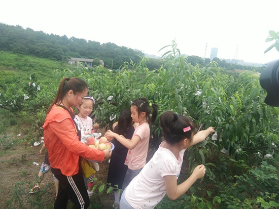 20170717043646_IMG_20170709_100550_副本.jpg
