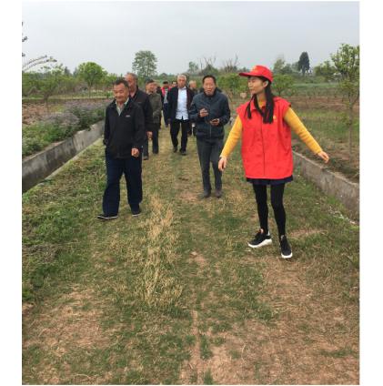 實地考察.jpg