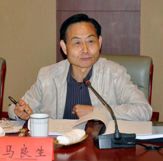 專家組組長馬良生介紹了專家組成員。.jpg