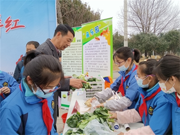 種菜義賣做公益 紅領(lǐng)菜農(nóng)上線1.jpg