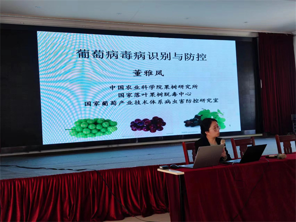 余姚臨山葡萄培訓2.jpg