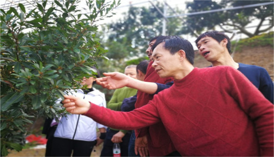 黑龍江專家進丈亭指導(dǎo)工作.png