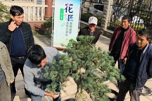 美在身邊 學(xué)在庭院——盆景造型分享會(huì).jpg