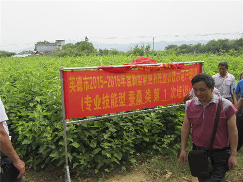 1.英德新型職業(yè)農(nóng)民培訓(xùn)注重實際操作.JPG