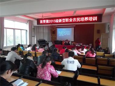 農(nóng)民們20161117202251608.jpg