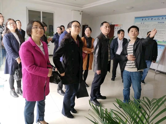 評估驗收組深入青杠街道社區(qū)教育學校.jpg