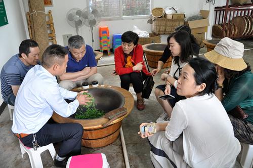 手工制茶體驗.jpg