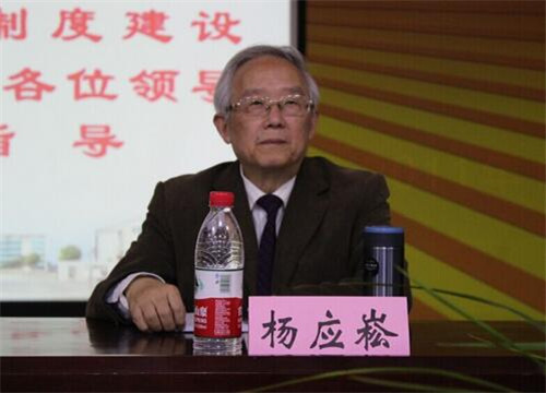 3總課題組組長(zhǎng)楊應(yīng)崧教授作報(bào)告QQ截圖20160525132808.jpg